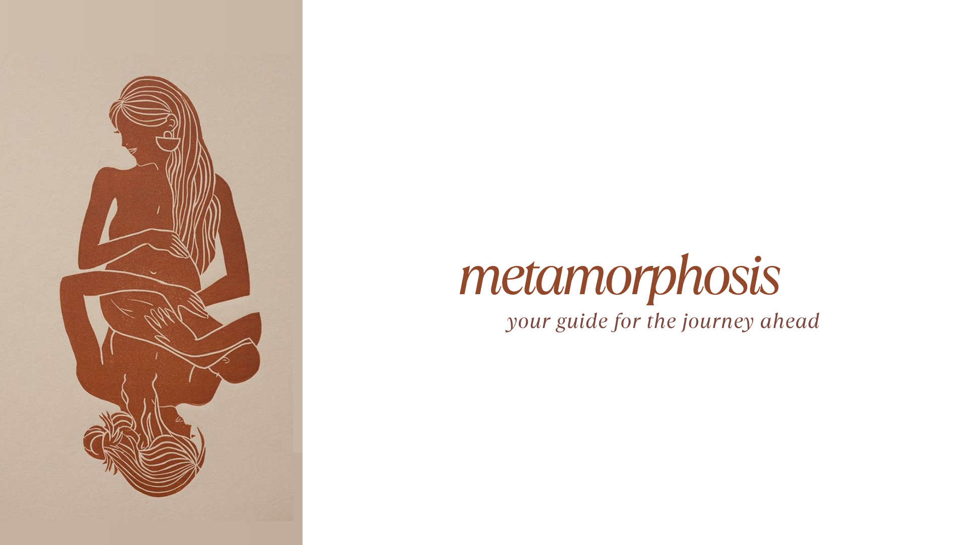 Metamorphosis: the course